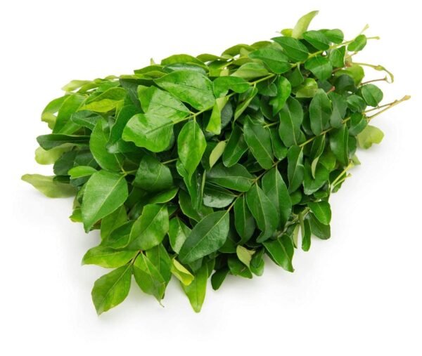 High Quality Curry Leaves: An Essential Ingredient for Flavorful Cooking
